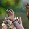 Hands reaching upwards