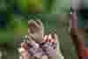 Hands reaching upwards